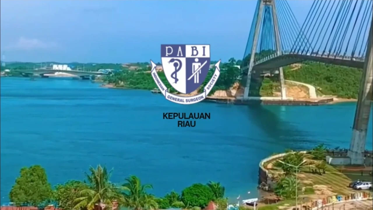 KEPULAUAN RIAU - Gambar 4